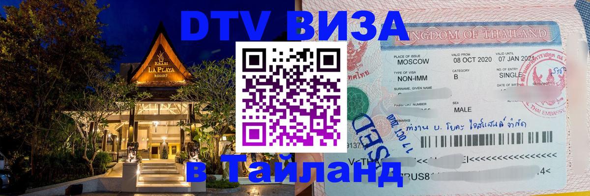 Оформление DTV визы под ключ: стоимость и тарифы, только загранпаспорт - 